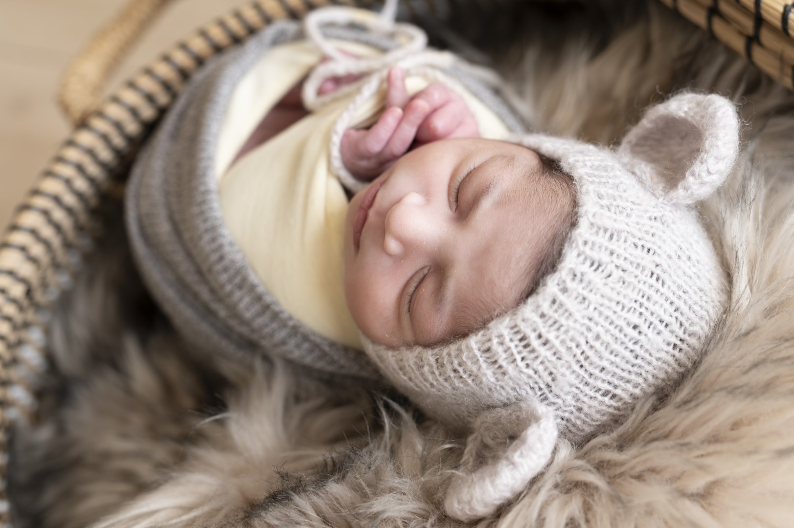 צילומי ניובורן 17